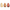 Frøer 3-pack (bland selv)